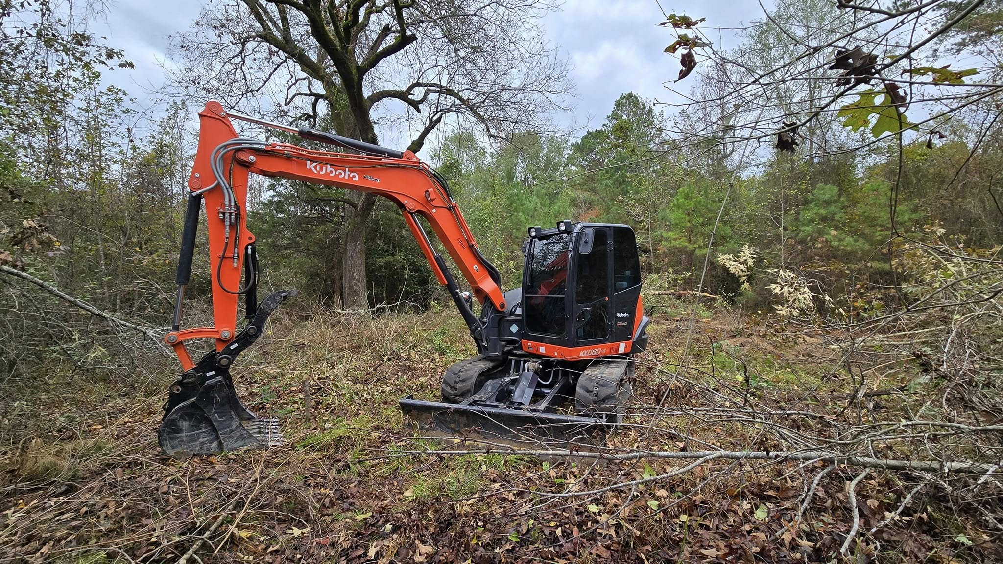 Tree leaning dangerously after a storm in an Arkansas residential yard